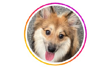 オリジナル デザイン デザインクロス 張替え 職人